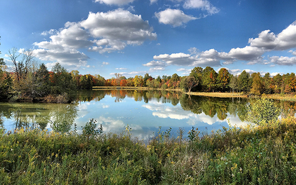 Blendon Woods Metro Park, Photo by Craig Gordon Blendon Woods Metro Park