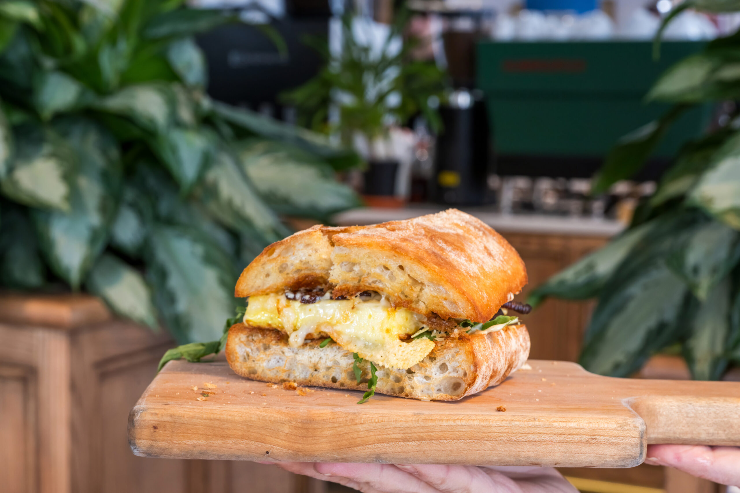 Sandwich from Fox in the Snow Westerville