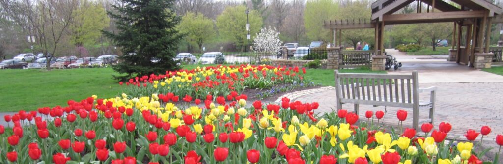 Inniswood flower booms in Westerville, oh